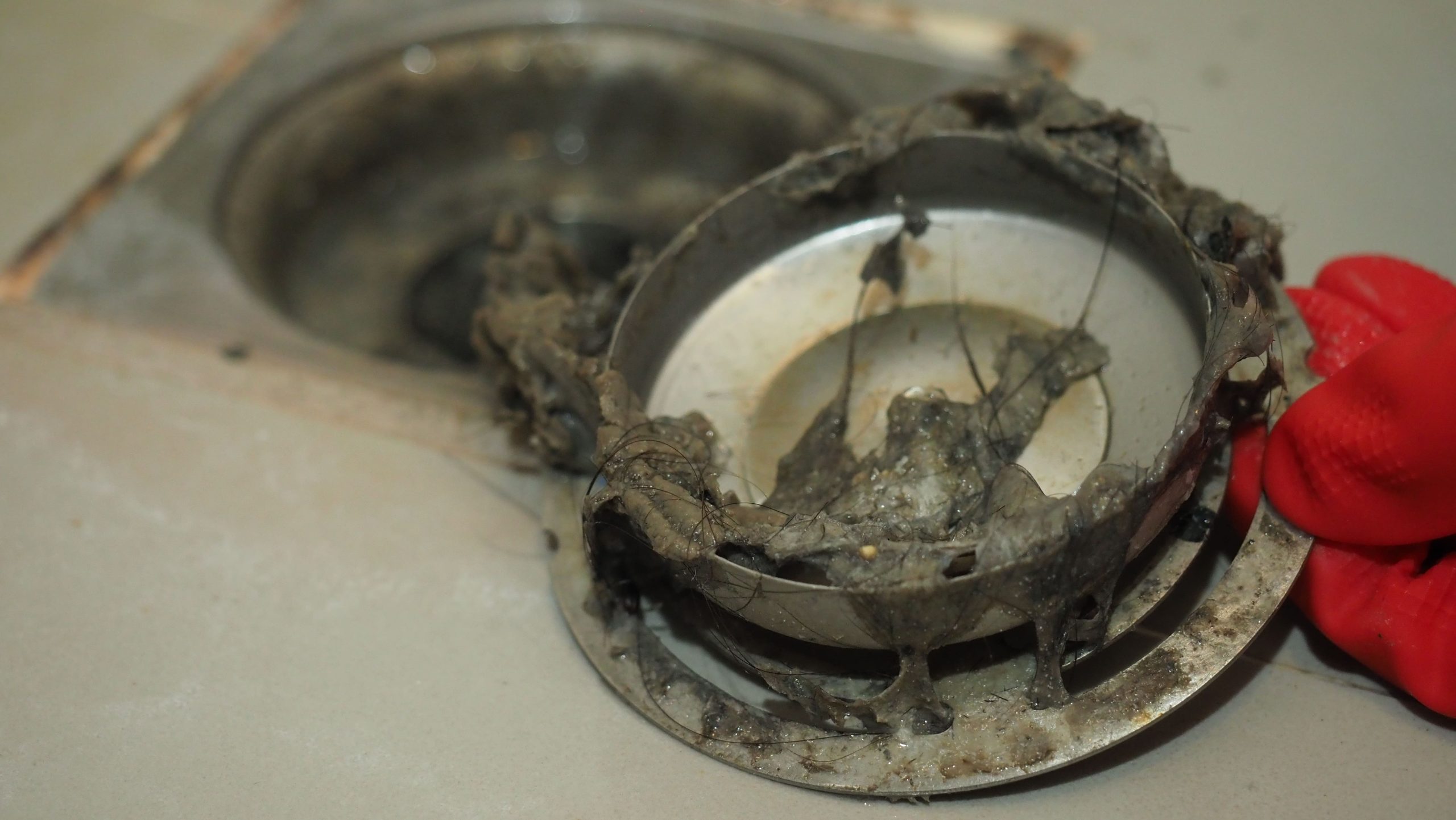 Featured image for “Blocked Drains in Melbourne: Causes, Prevention and When to Call a Plumber”